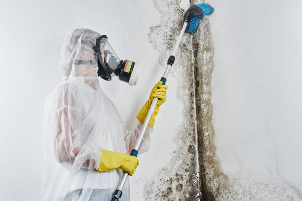 Water damage restoration process